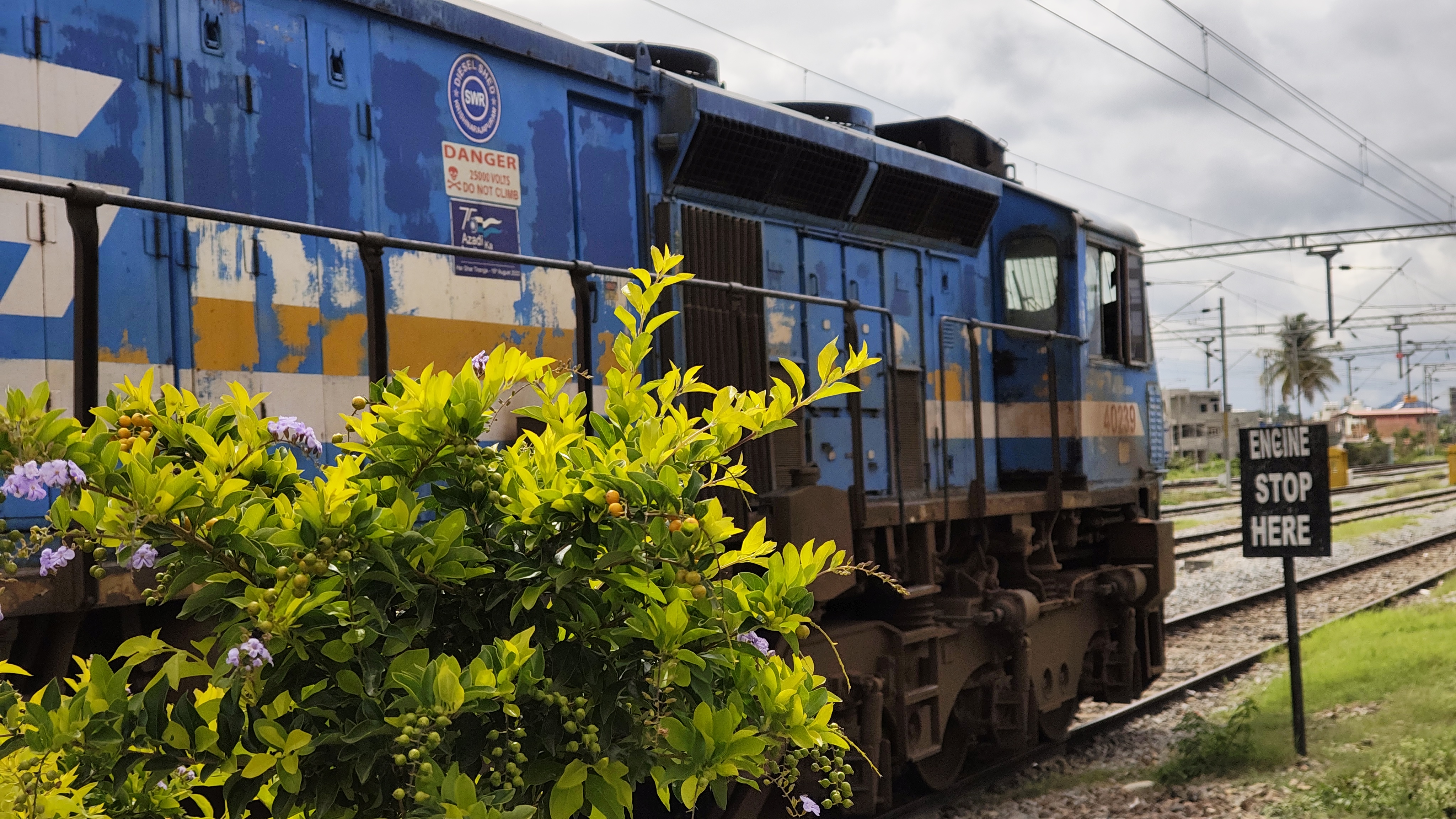 22617 Tirupati - SMVT Bengaluru Intercity SF Express photo 6