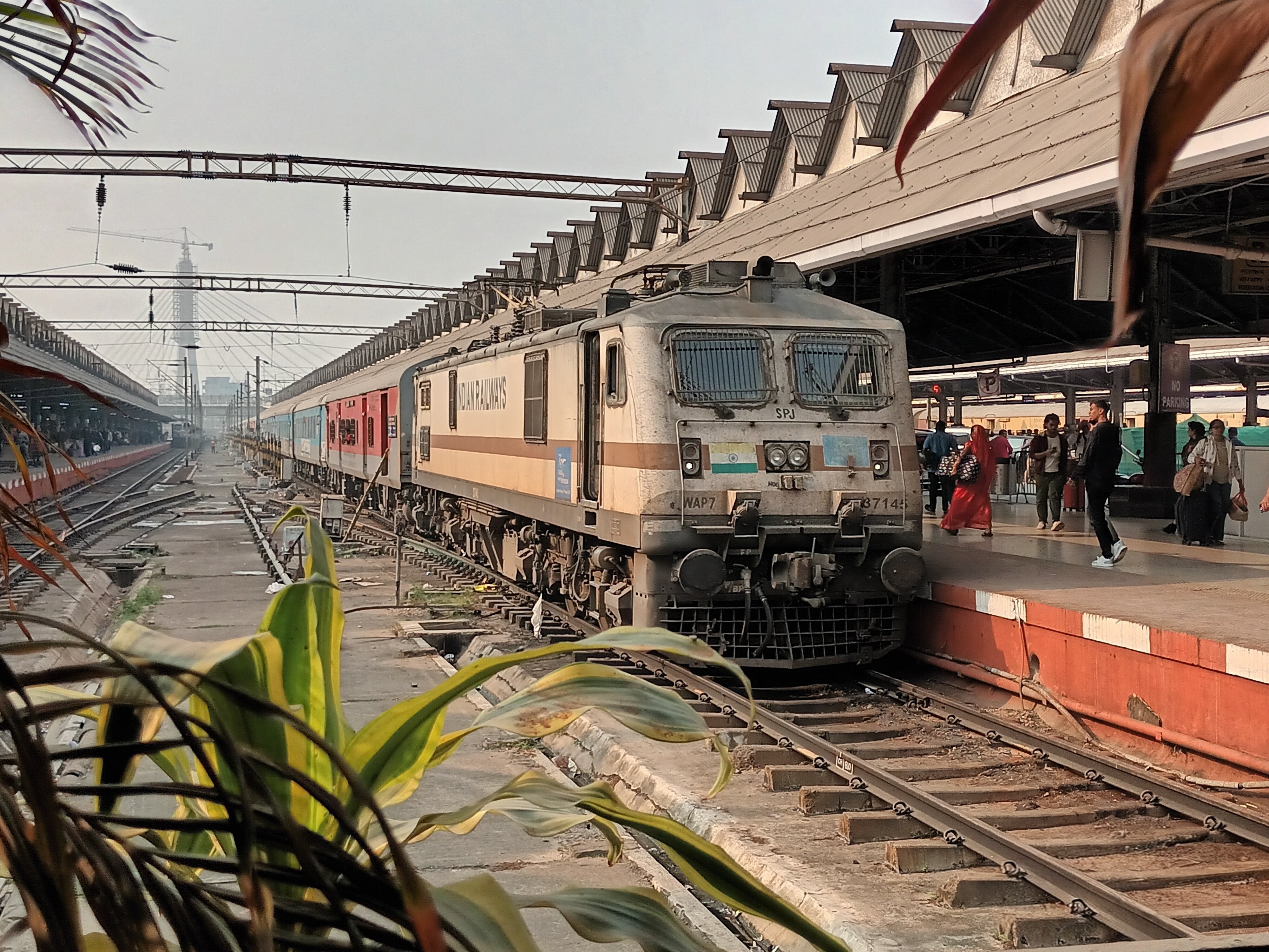 59835 Mandsor - Udaipur City Passenger photo 3