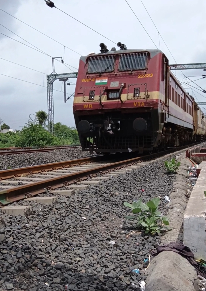 79439 Pratapnagar - Kathana DEMU photo 4