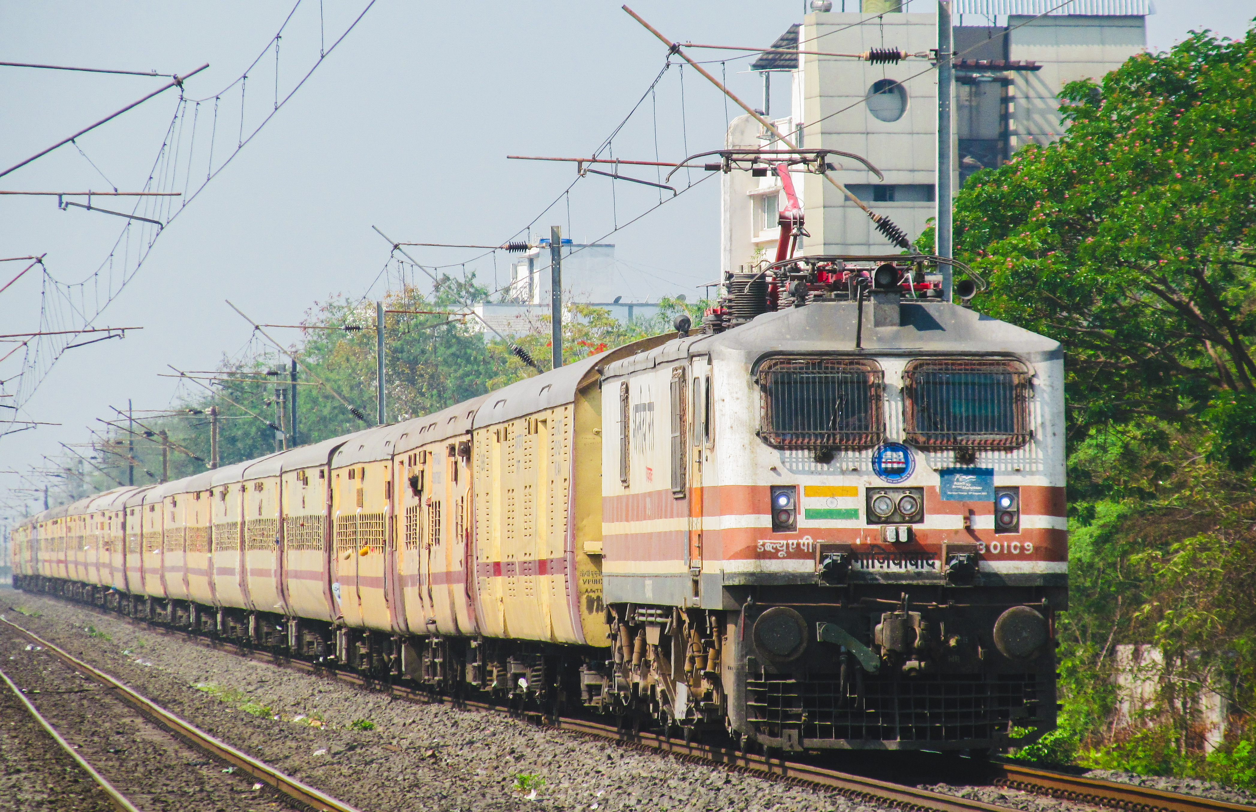 12906 Shalimar - Porbandar SF Express photo 19