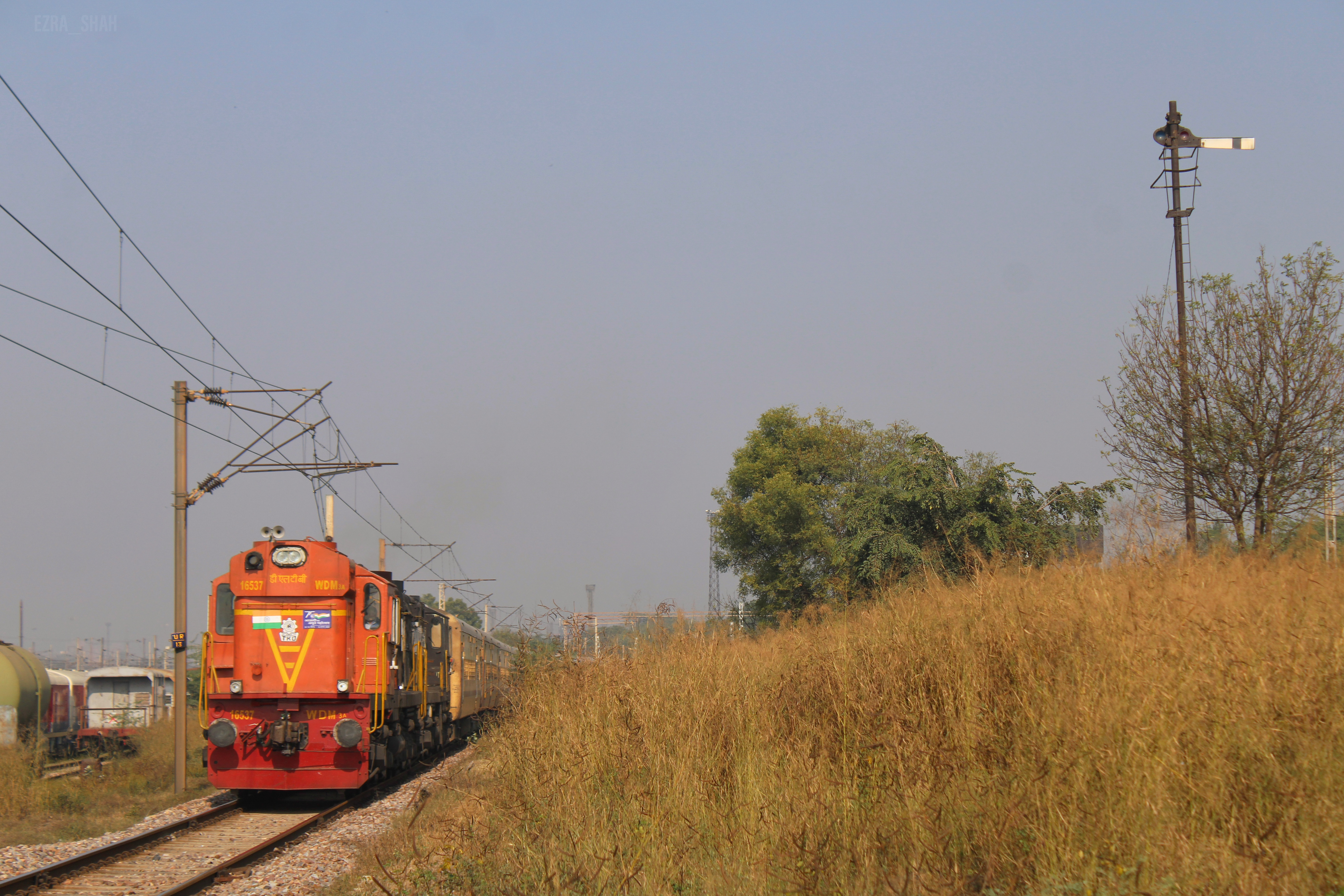59633 Rewari - Ringas Passenger photo 7