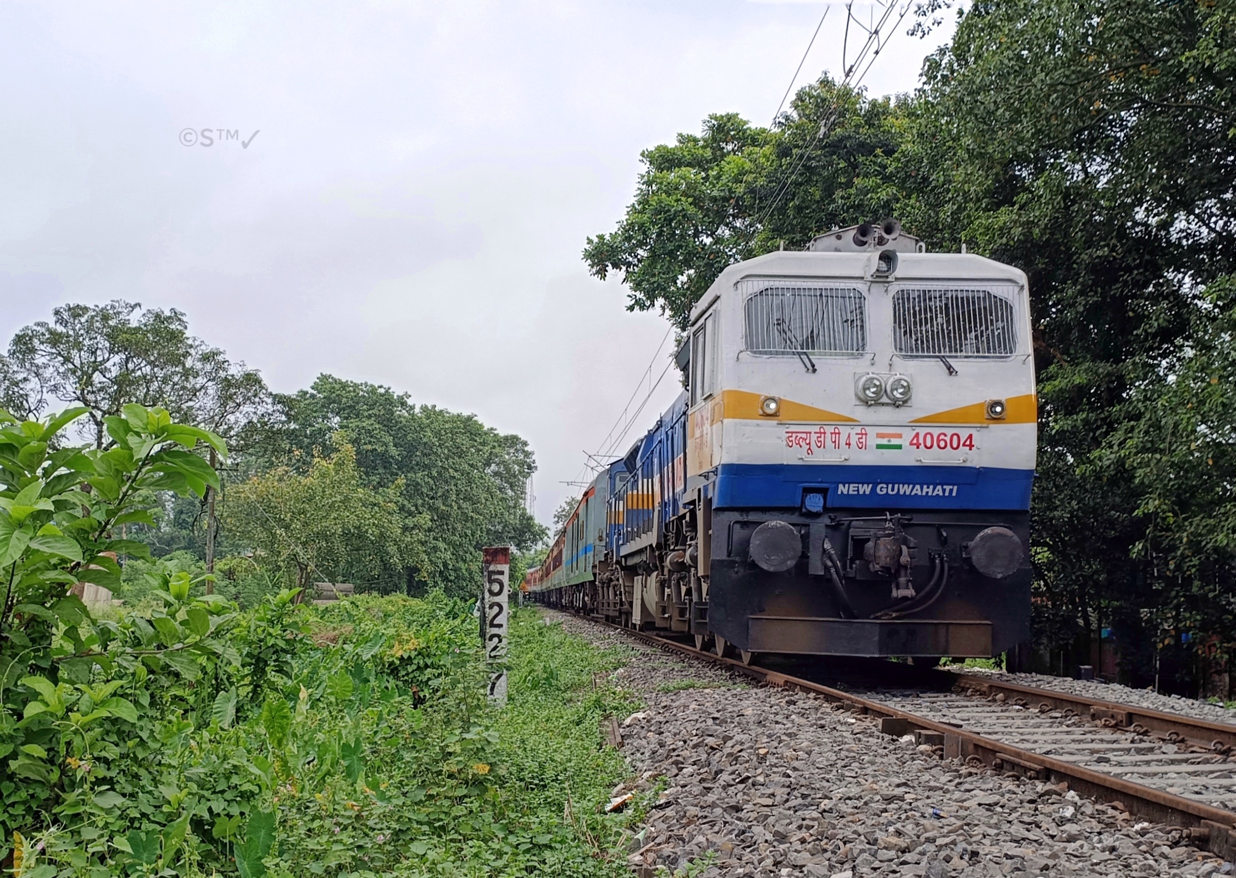 33443 Sealdah - Barasat Local photo 6