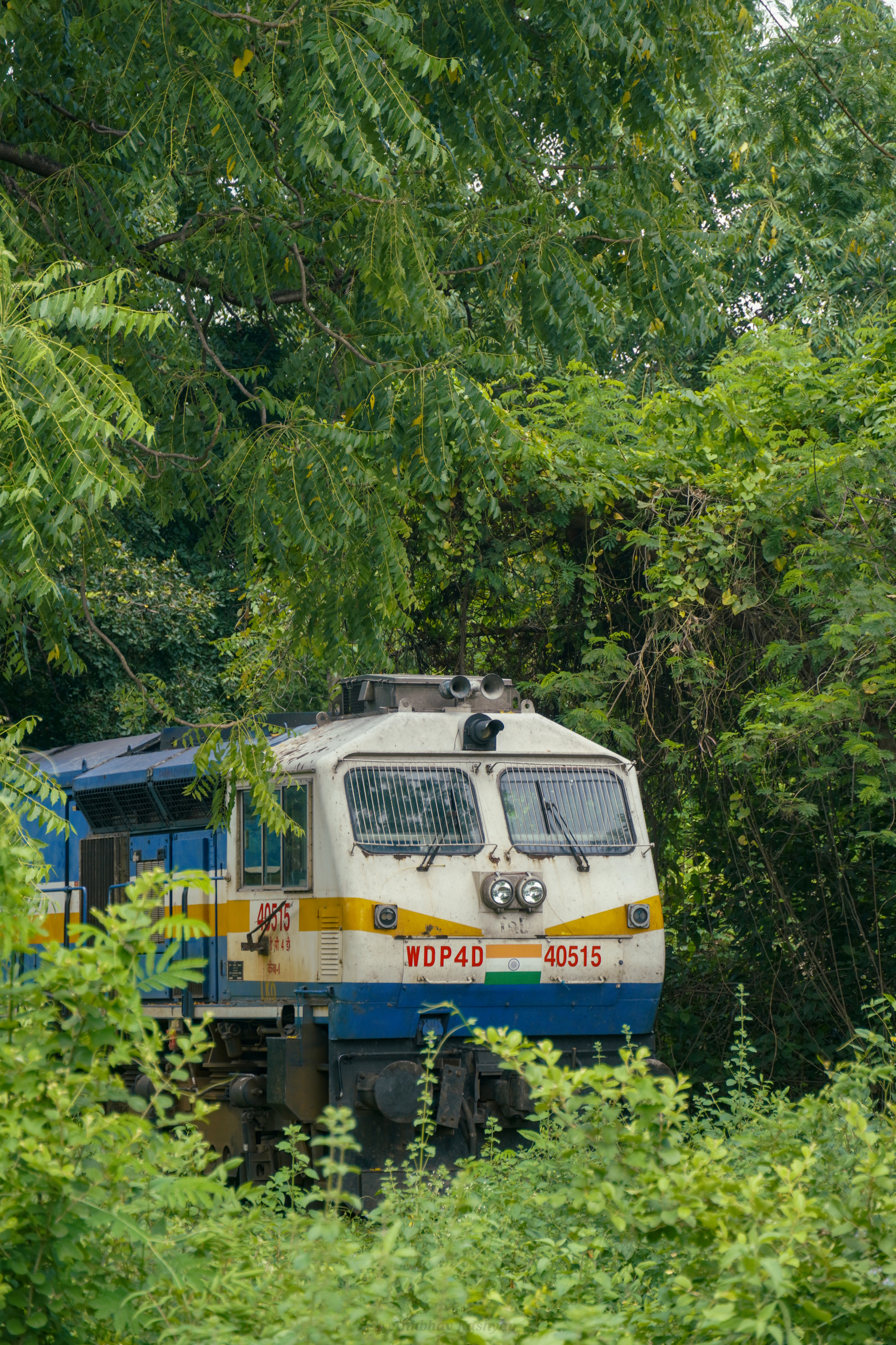 06585 Yesvantpur - Talguppa Special Fare Jatra Mahotsava Special photo 1