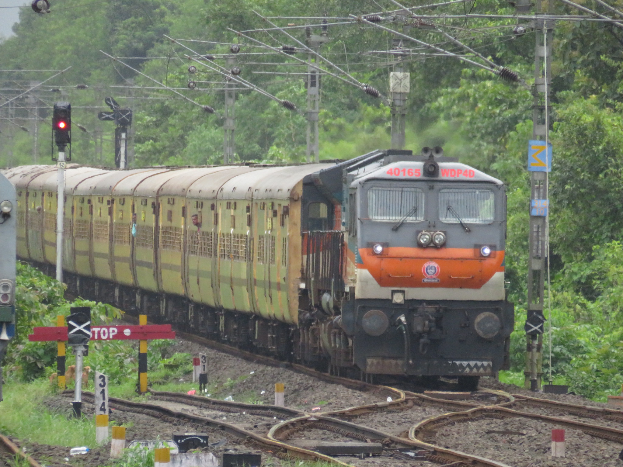 12524 Anand Vihar Terminal - New Jalpaiguri Superfast Express photo 6
