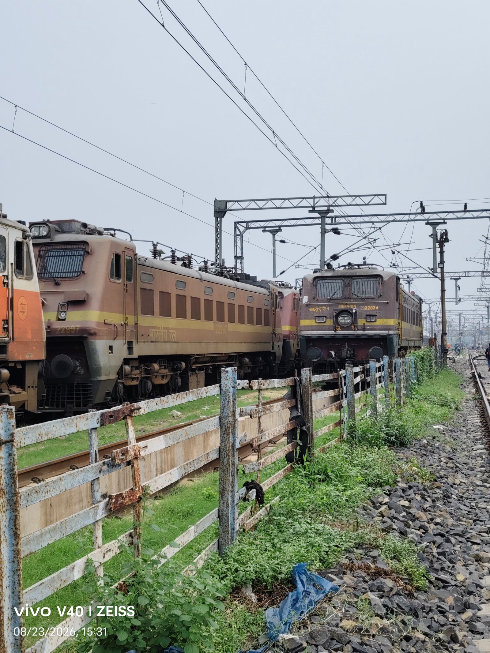 12427 Rewa - Anand Vihar Terminal SF Express photo 1