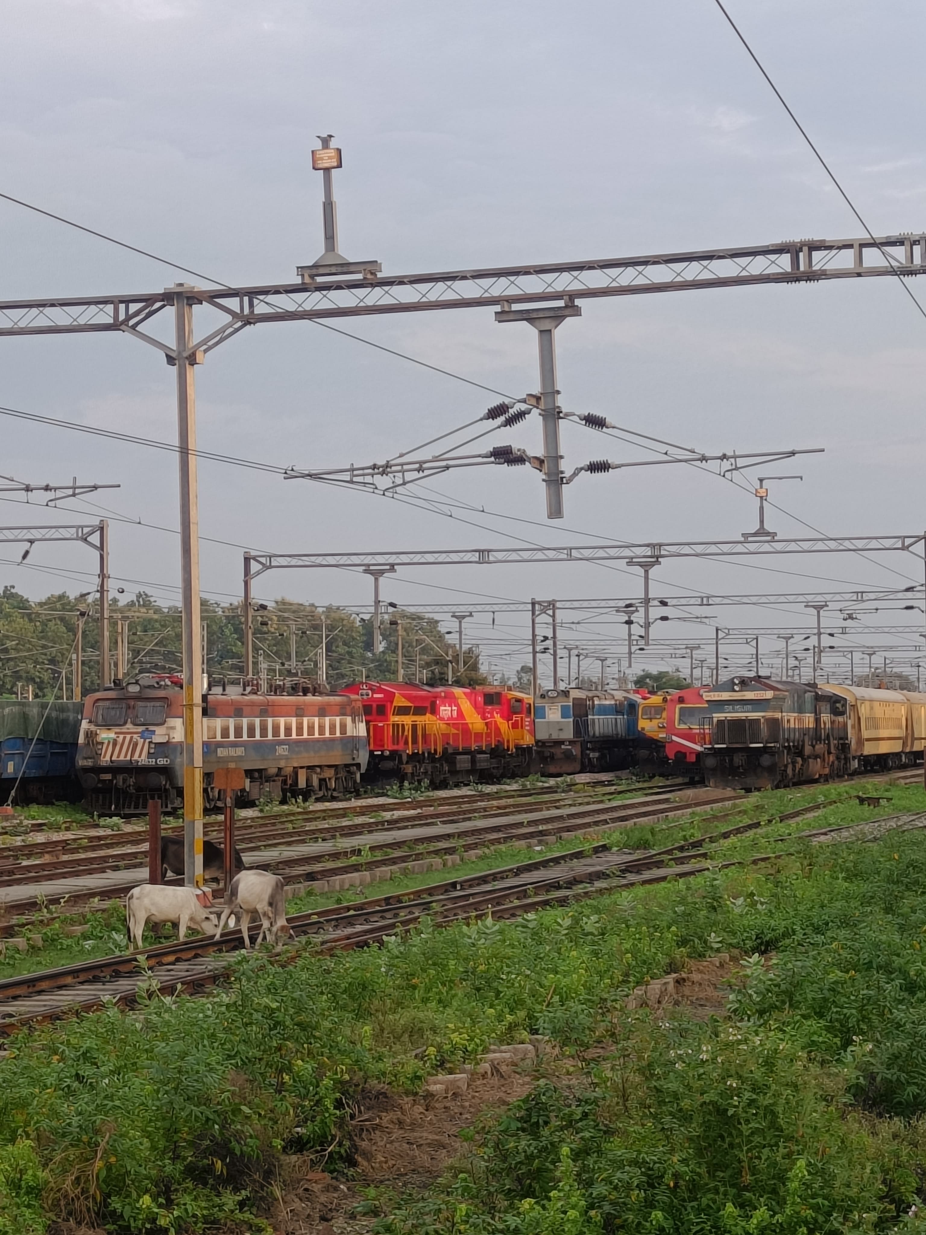 12159 Amravati - Jabalpur SF Express photo 1