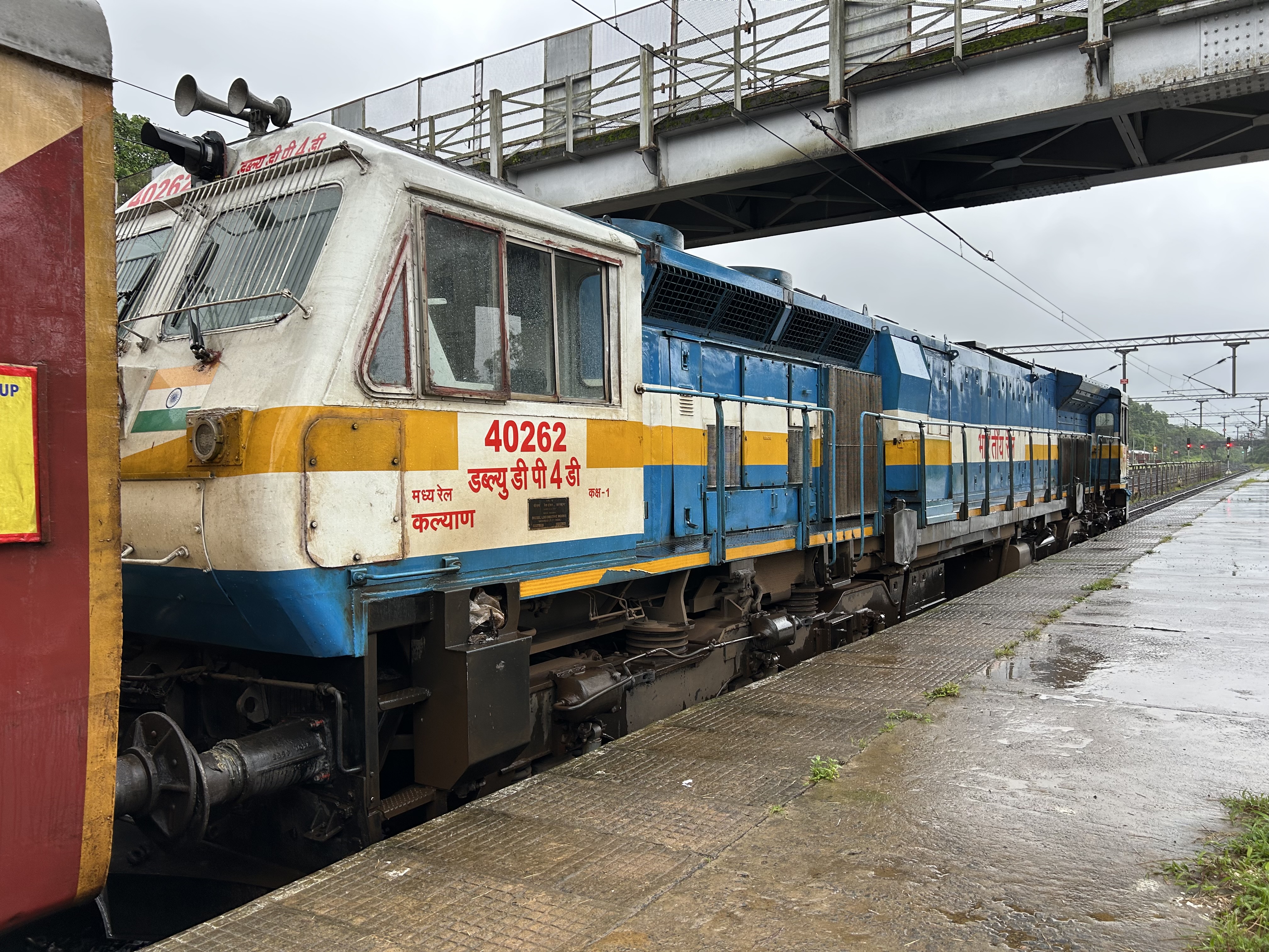 11003 Tutari Express photo 15