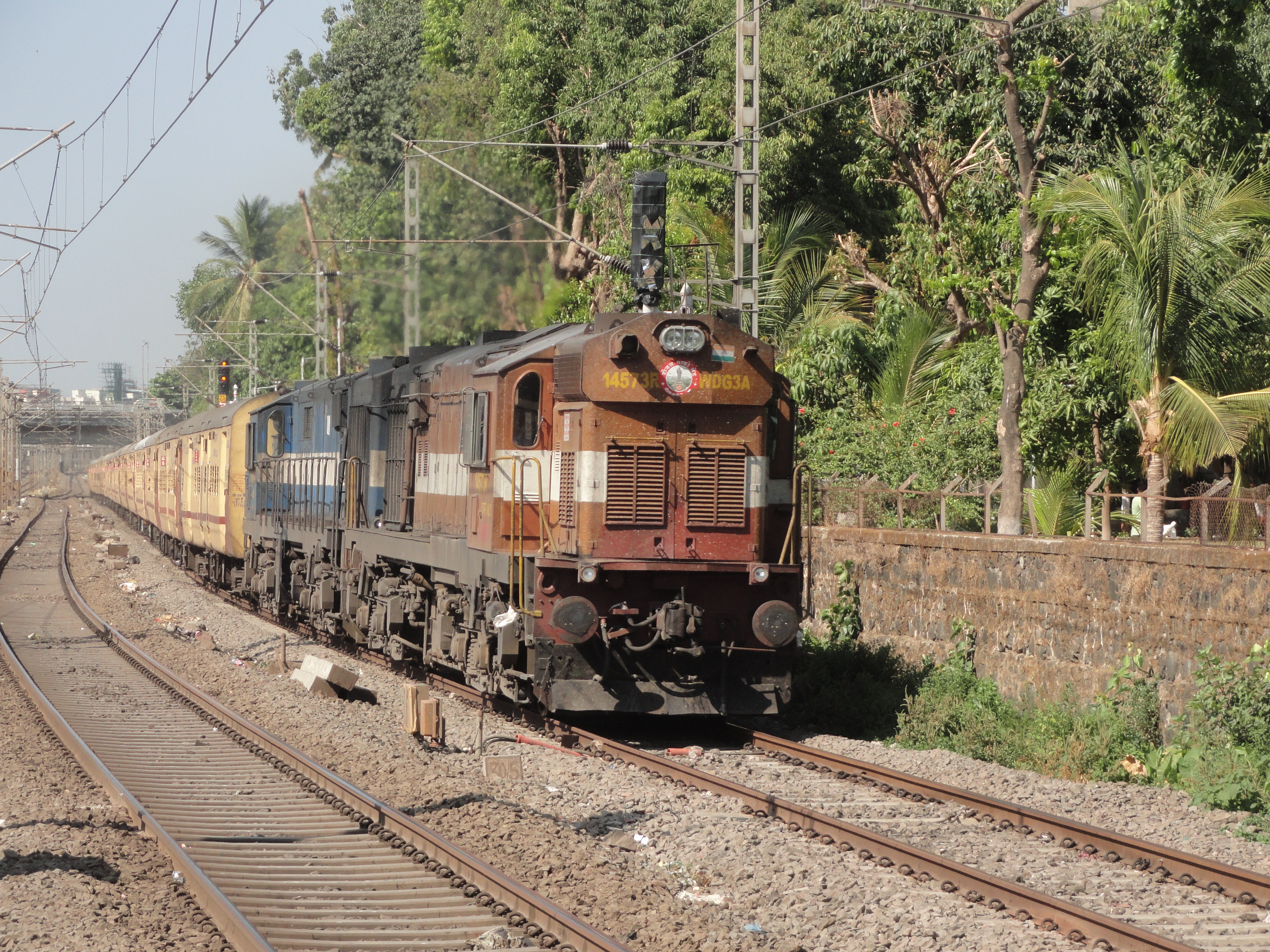 31411 Sealdah - Naihati Galloping Local photo 5