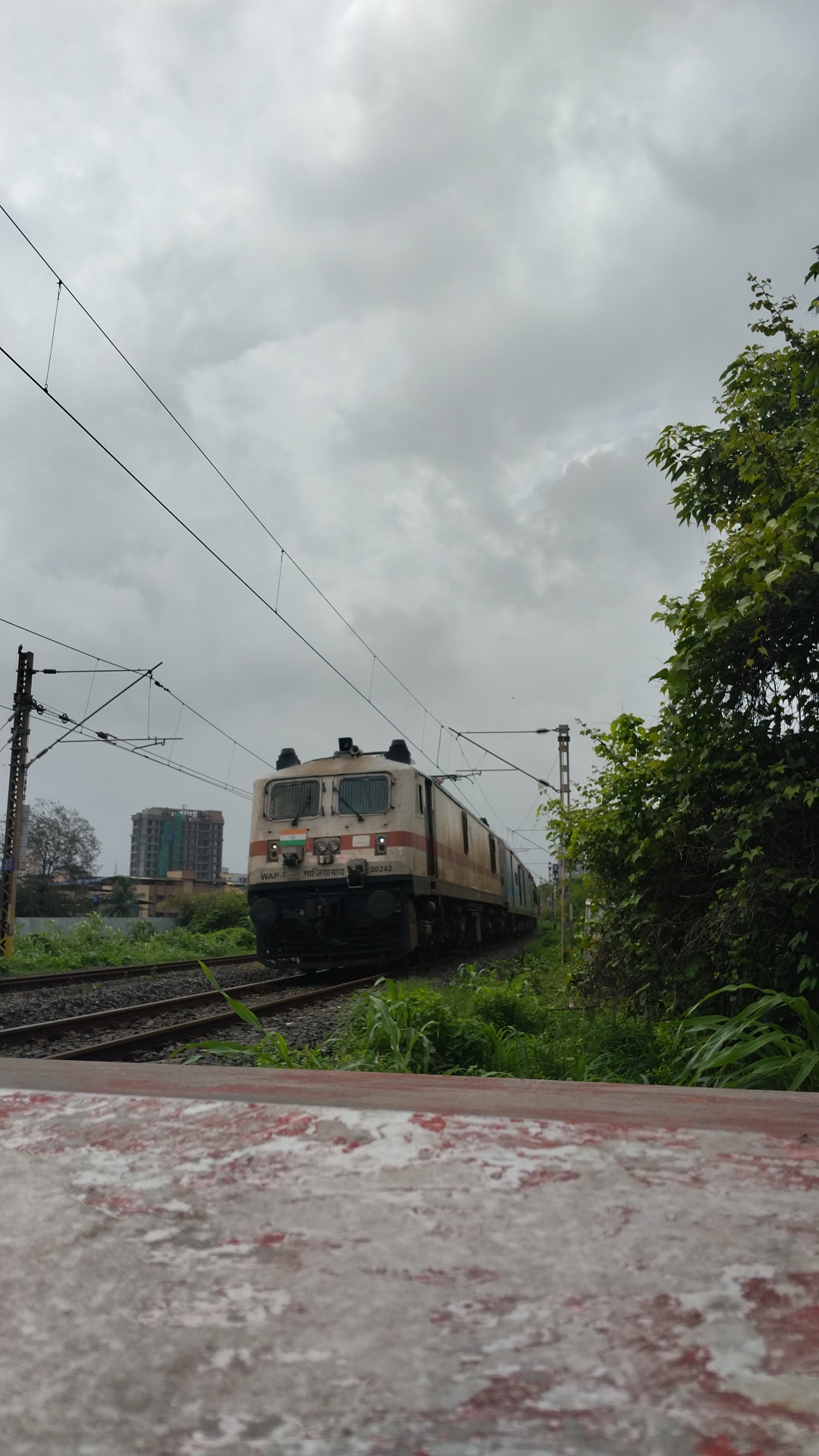 20667 Yesvantpur - Khatipura (Jaipur) SF Express photo 1