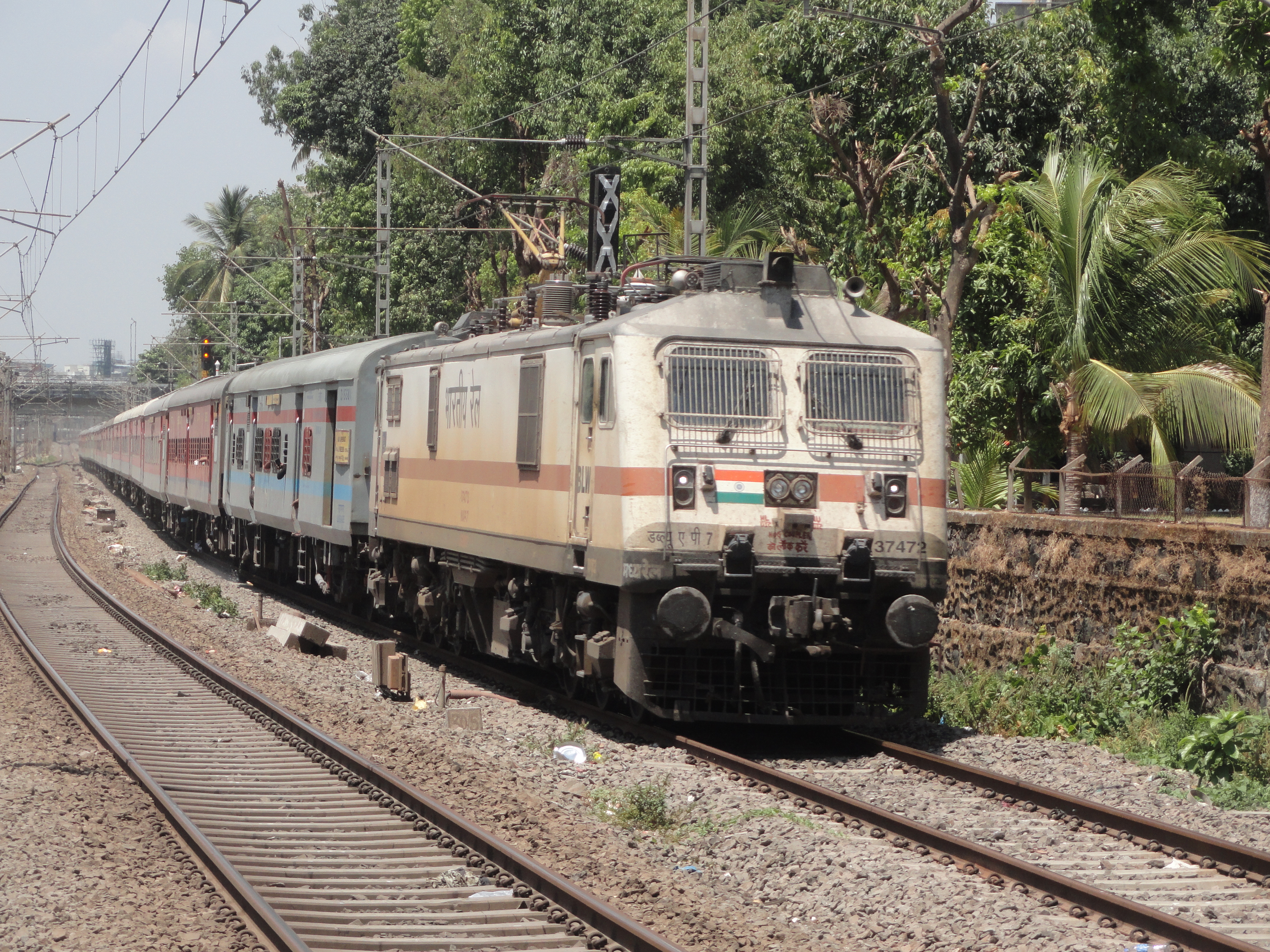 01705 Jabalpur - Ayodhya Dham Special Fare Special photo 1