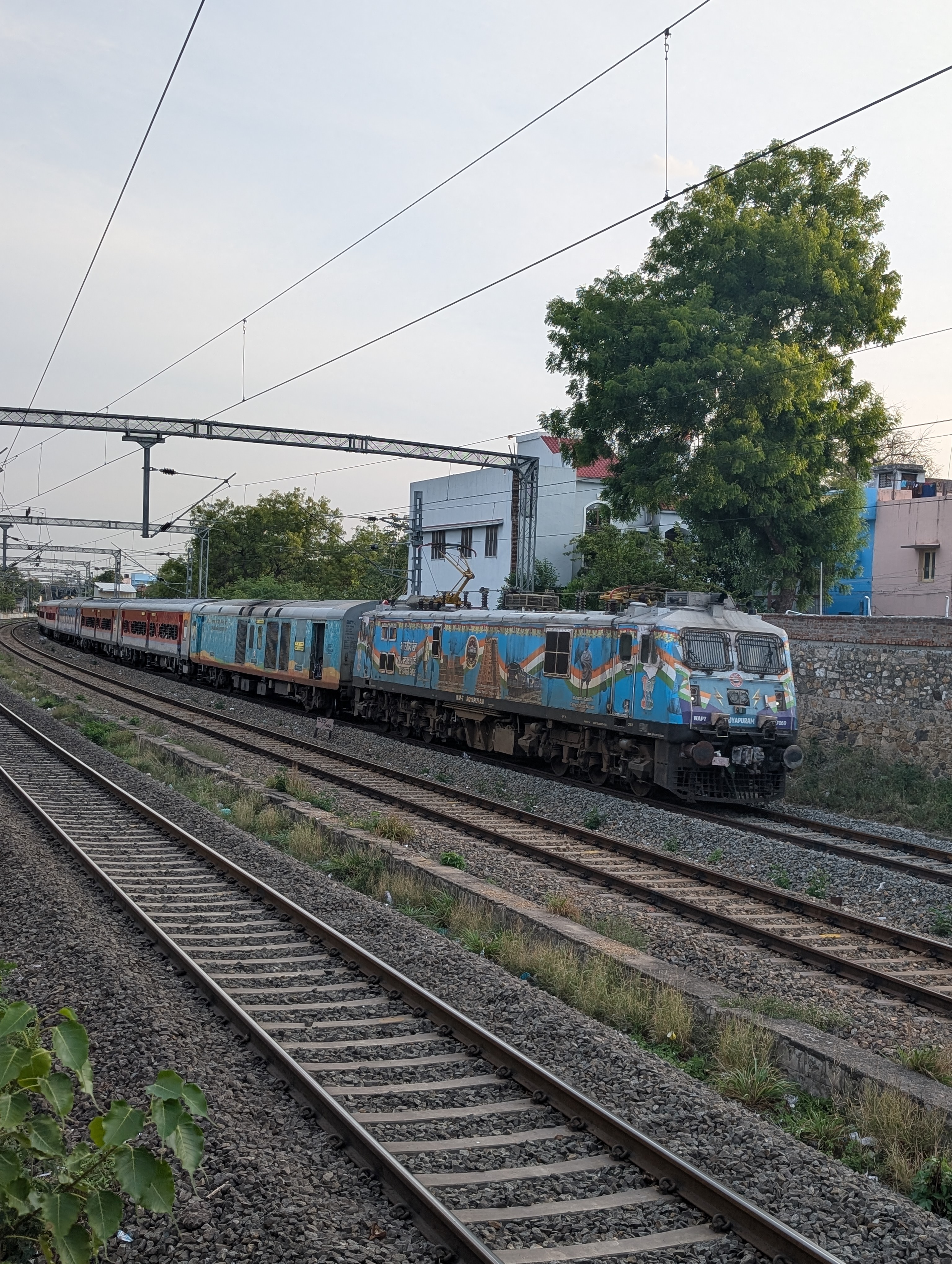 22916 Hisar - Bandra Terminus SF Express photo 3