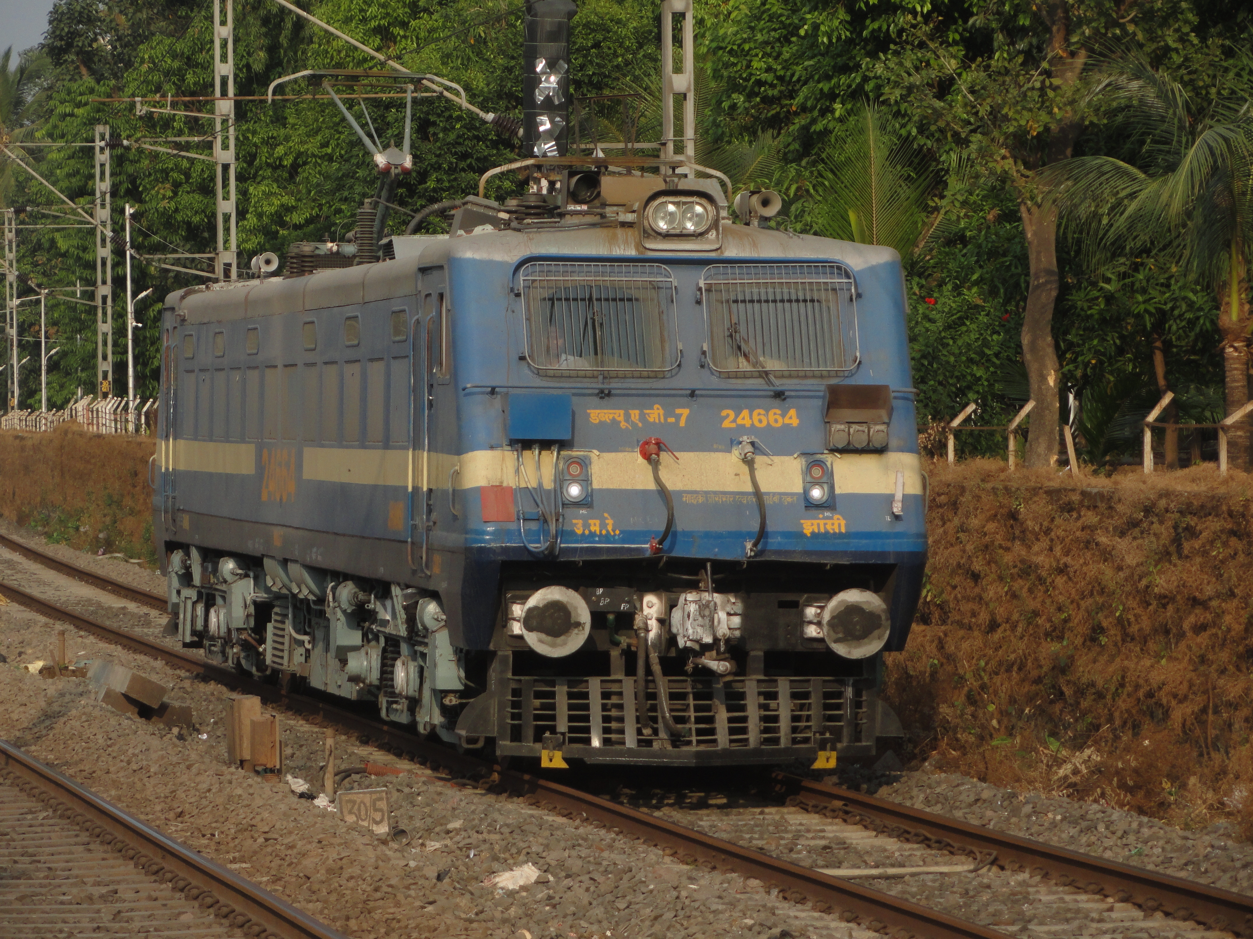 31111 Sealdah - Katwa Galloping Local photo 7