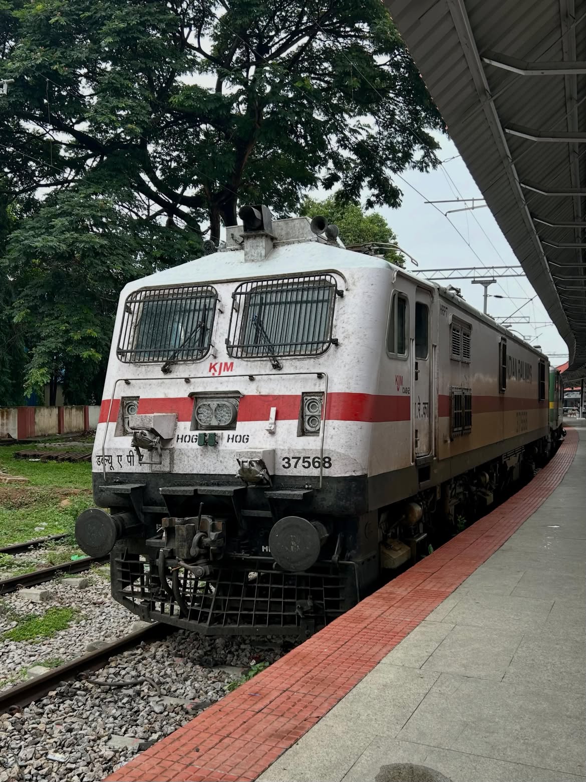 12943 Udyogkarmi SF Express photo 5