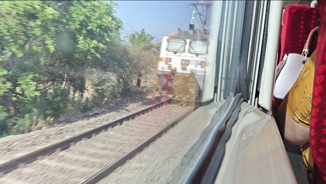 16301 Venad Express photo 2