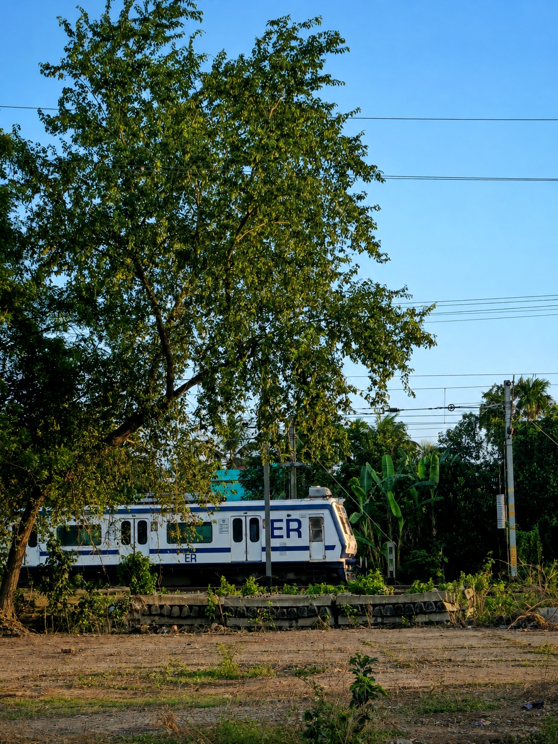 15041 Farrukhabad - Kasganj Express photo 8