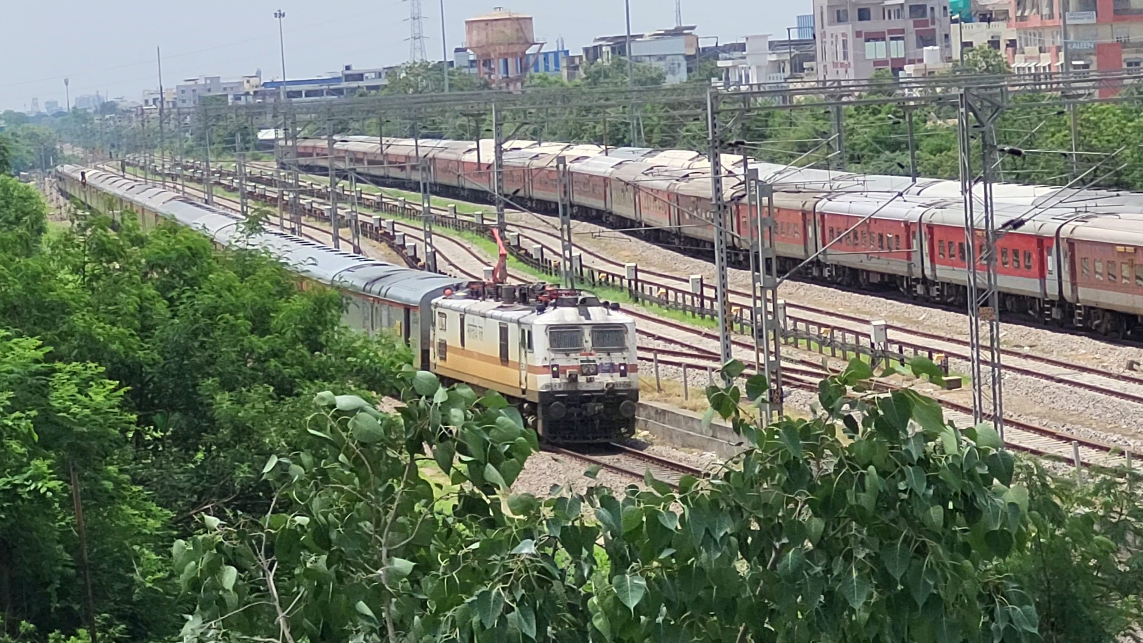 33865 SDAH-BNJ LOCAL photo 5