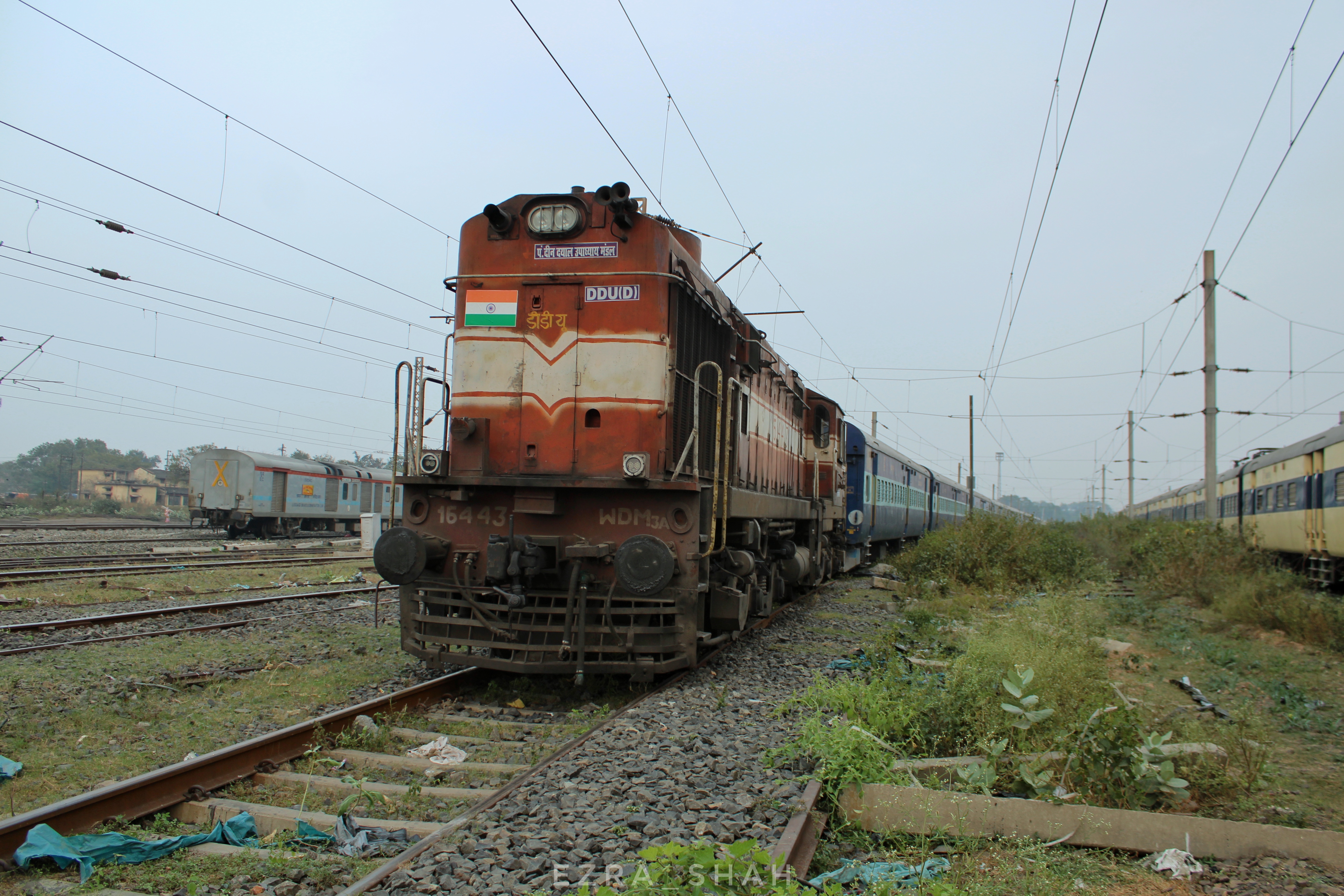 74835 Sikar - Jaipur DEMU photo 6