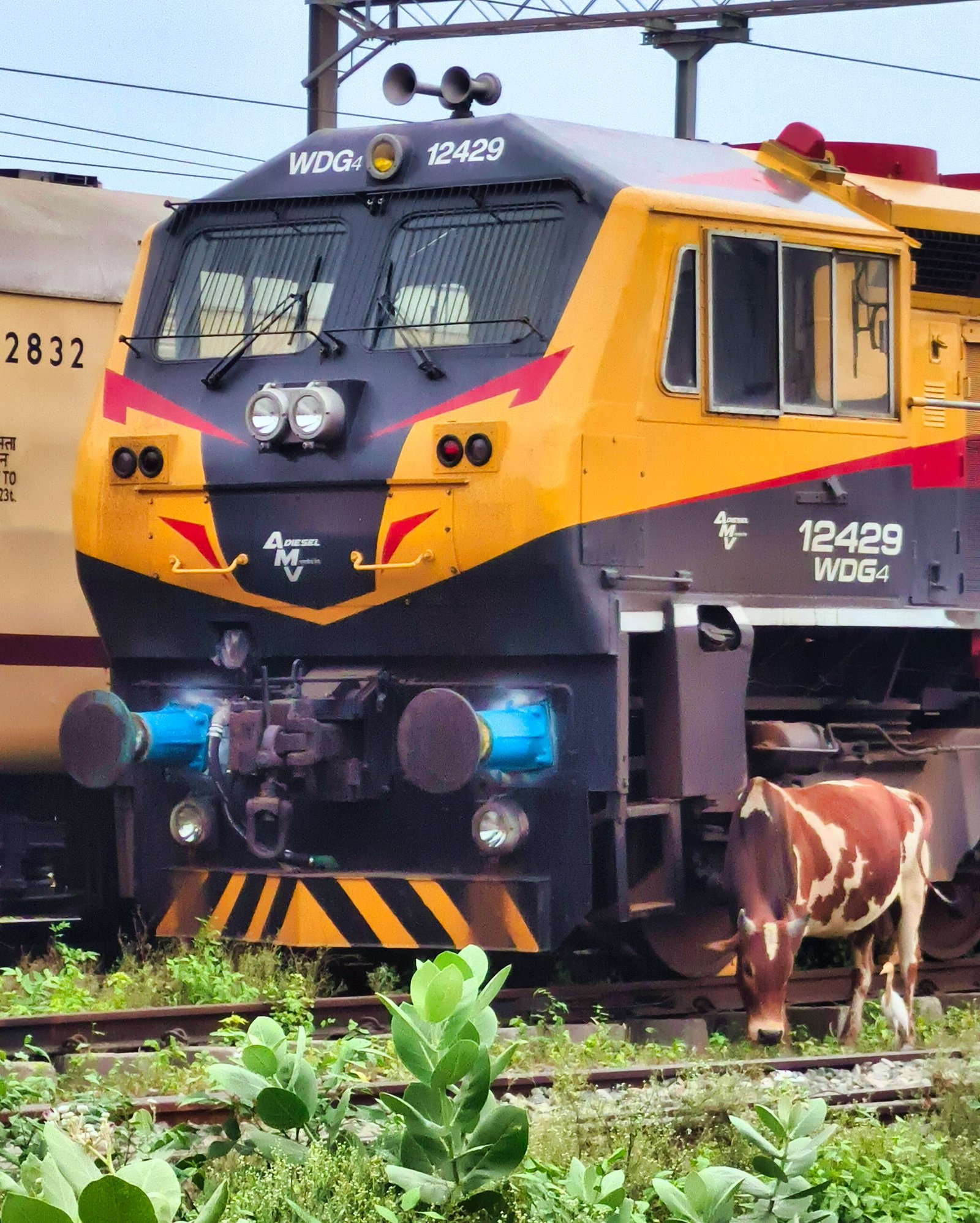 43707 Chennai Beach - Tiruvallur EMU photo 8
